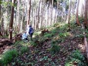 山形大学による生態系調査の活動風景＝山形県酒田市（同大提供）