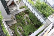 実験集合住宅の中庭などには緑あふれる植栽がある＝大阪市天王寺区