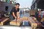 ８日、台湾南部・高雄市の前鎮漁港で、漁船から陸揚げされる箱詰め冷凍サンマ（田中靖人撮影）