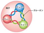 陽子は大きいエネルギーを担う２個のアップ（ｕ）クォークと１個のダウン（ｄ）クォーク、さらに小さいエネルギーを担うクォークと反クォーク、およびこれらの粒子を強い相互作用で結びつけるグルーオンから構成されている。陽子内部では、クォークと反クォークの対が生成・消滅している