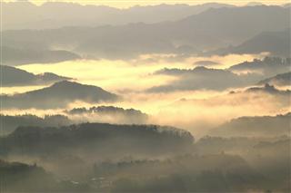 条件が整えば、高山から見下ろしたような「雲海風景」が広がる（君津市観光課提供）