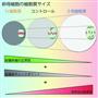 図卵子が染色体数異常になりやすい理由卵母細胞の細胞質サイズが大きくなると、紡錘体極の機能性は低くなる。このため、染色体は正確な分配の必要条件である紡錘体赤道面への整列に失敗しやすい。通常、染色体が整列に失敗したとしても、紡錘体チェックポイントにより細胞周期の進行が停止し、染色体分配の間違いは防がれる。しかし、細胞質が大きくなると、紡錘体チェックポイントの厳密性が低くなる。これら２つの影響により、細胞質サイズが大きいほど染色体分配の間違いが起こりやすい。