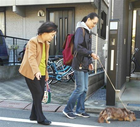 飼い主の単身高齢者増加に対応　日本アイティ協会がペットシッターサービス