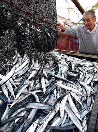 大衆魚が高級魚に？　サンマ不漁続きで今年も高値か　漁獲枠交渉決裂で不安広がる