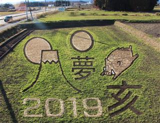 えとにちなみ、イノシシなどをデザインした畑アート＝栃木県那須塩原市