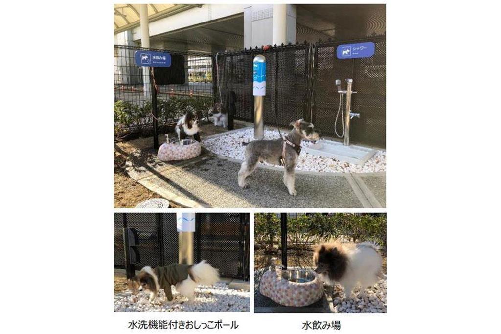 伊丹空港に犬専用トイレ、屋外に設置 国内の空港では初の試み