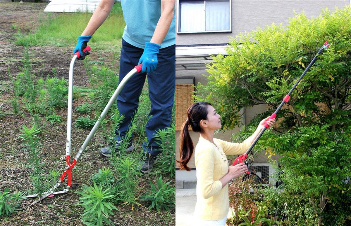 雑草除去や剪定を楽にしてくれる園芸用品6選 Sankeibiz サンケイビズ 自分を磨く経済情報サイト