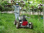 除草ロボットを使った草刈り作業の様子