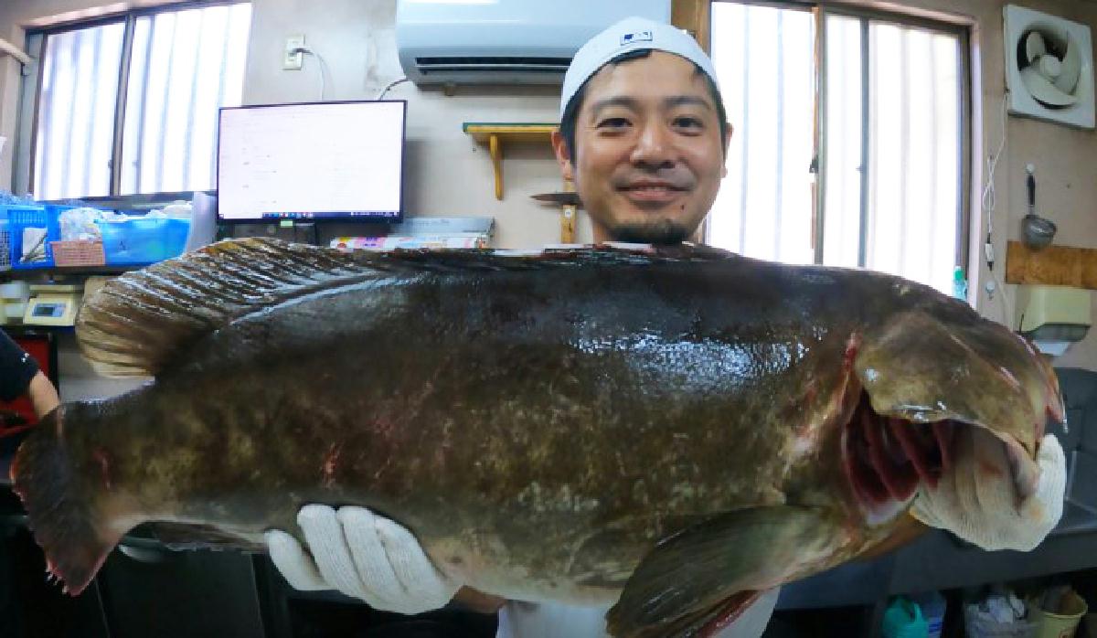 春到来前の冬限定ラスト 今季一番美味しい 天然クエ をさばく Sankeibiz サンケイビズ 自分を磨く経済情報サイト